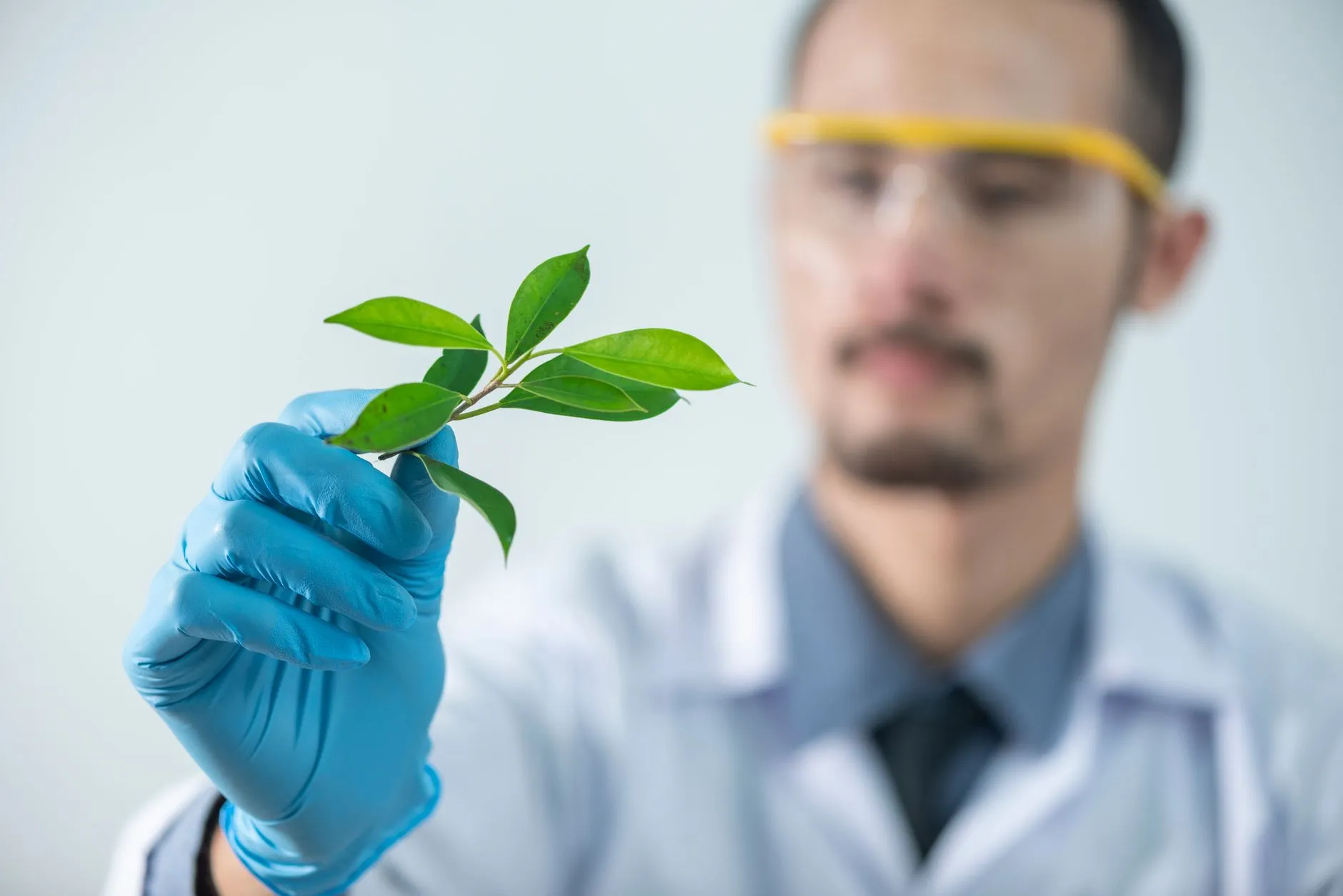 2025年武汉企业数字化转型趋势：软件开发与系统集成新机遇封面图